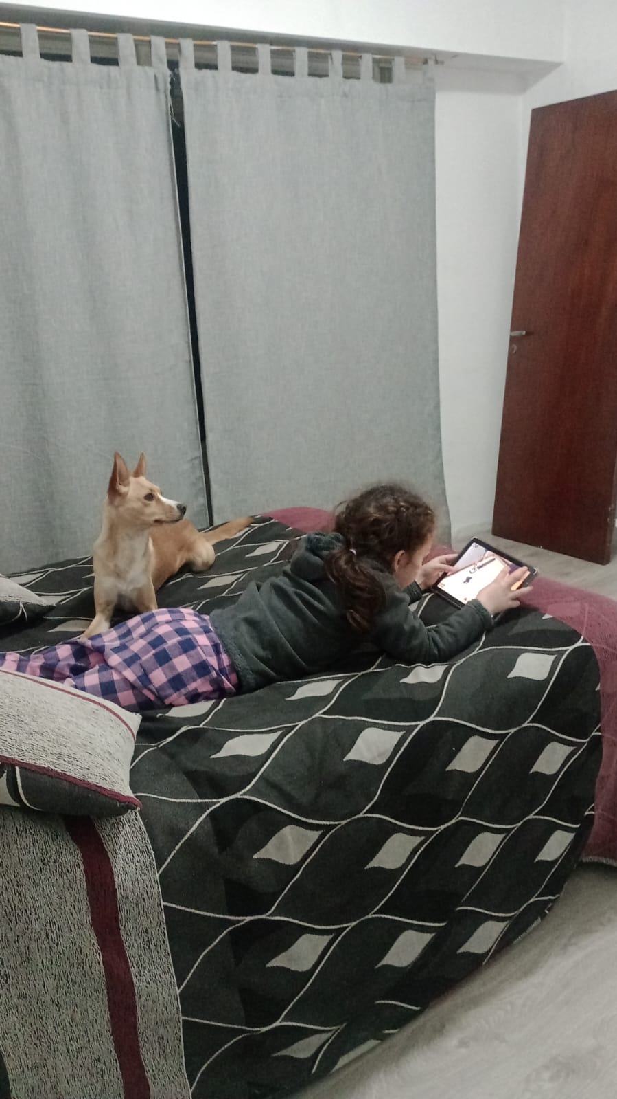 WhatsApp Image 2025-07-12 at 20.31.58.jpeg